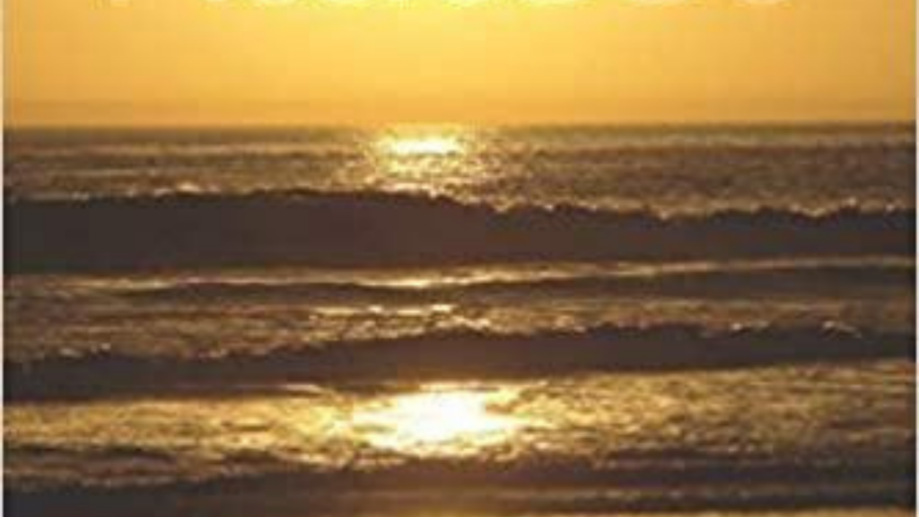 695 image